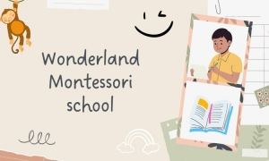 A Parent's Guide to Montessori Schools in Plano